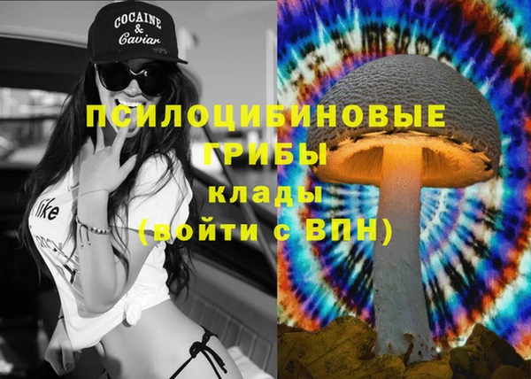 МДПВ Алексин