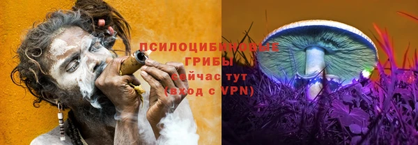 ешки Абдулино