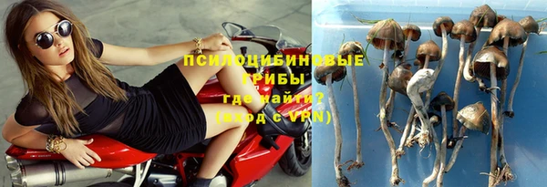 стафф Абаза